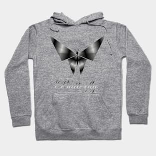 Metallic butterfly Hoodie